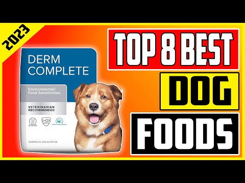 Best Dog Food for Every Budget Balancing Quality and Affordability